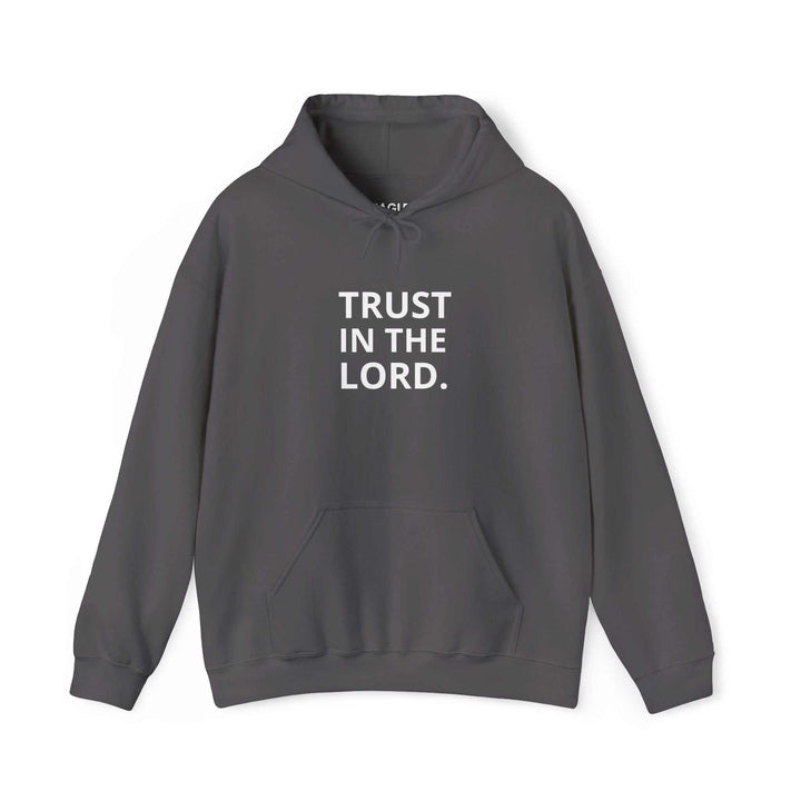 Dark gray hoodie with "TRUST IN THE LORD." printed in white on the front, made of cotton and polyester blend.