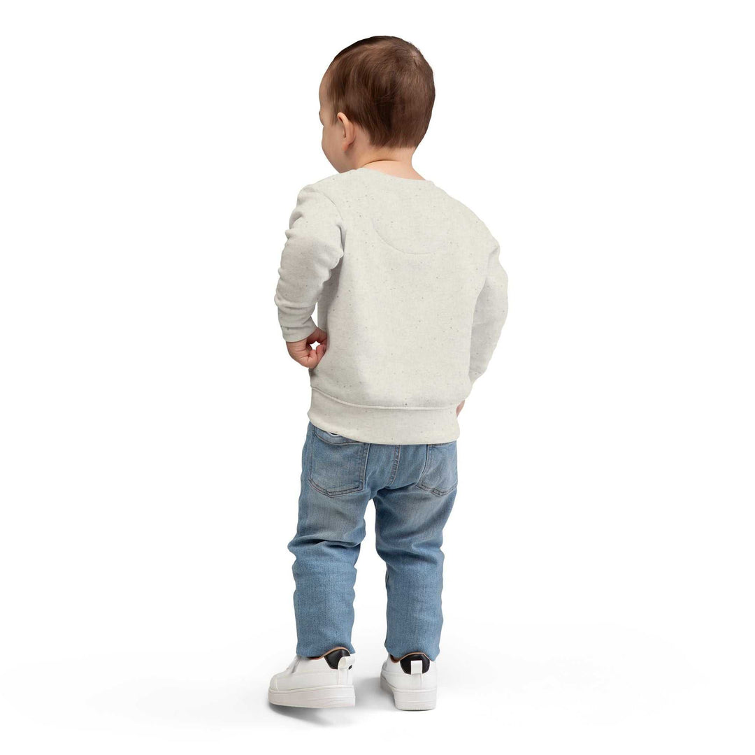 Toddler wearing a light gray Donut Worry Toddler Sweatshirt